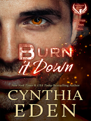 cover image of Burn It Down
